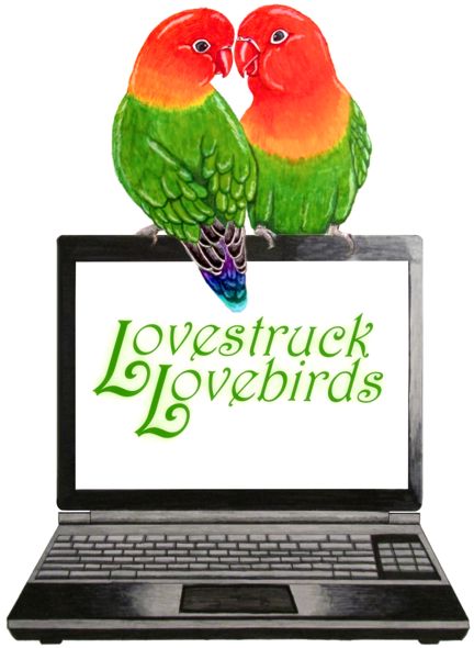 LoveStruck LoveBirds, Larry & Laura Rose.  Drawing by Wendy Lusby, Edited by Laura Rose Misaras.  Features two lovestruck lovebirds (Fischer's) sitting on an open, black laptop computer.